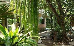 Atelier 36 Chiang Mai