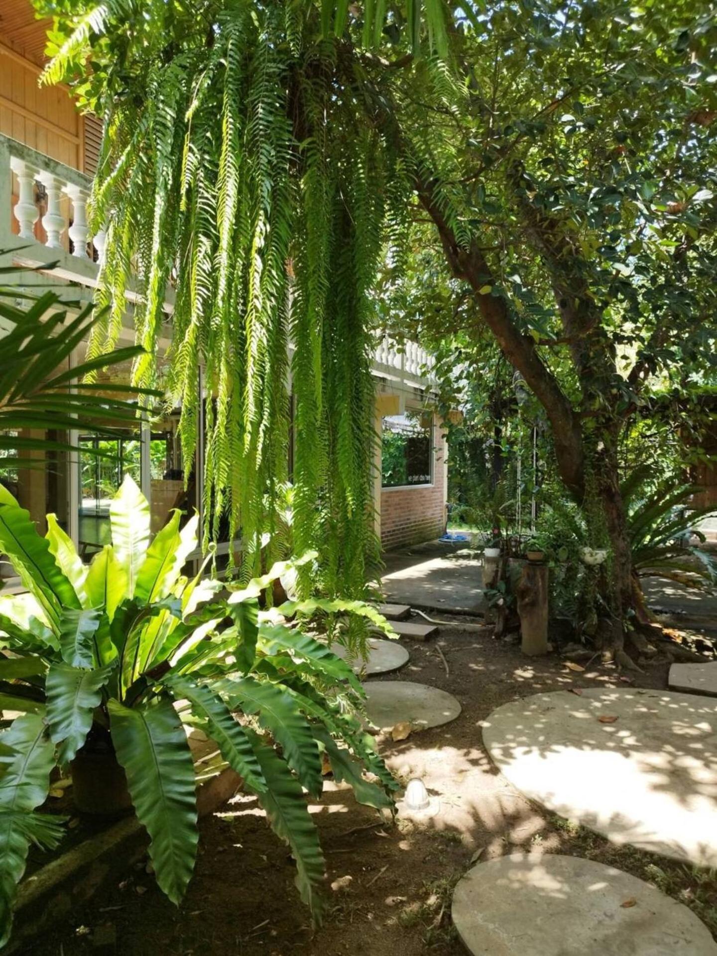 Atelier 36 Hotel Chiang Mai Buitenkant foto